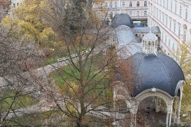 Comfort Tek Büyük Yataklı Oda (Balneo Treatment Package)