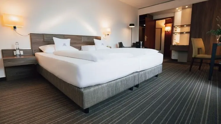 Tek Büyük Yataklı Oda, Park Manzaralı