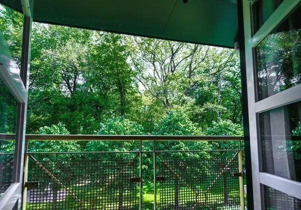 Superior Tek Büyük veya İki Ayrı Yataklı Oda