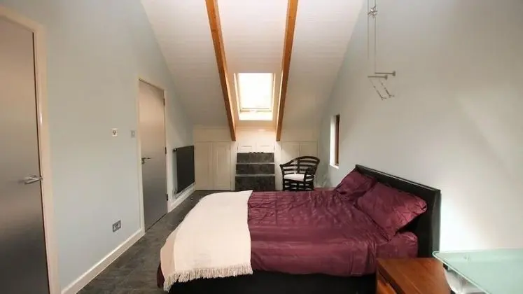 Tek Büyük Yataklı Oda, Banyolu/Duşlu (Room 4)