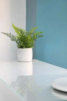 Tek Büyük Yataklı Oda (Dendy)