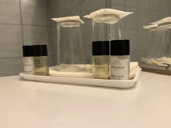 Superior İki Ayrı Yataklı Oda, Şehir Manzaralı