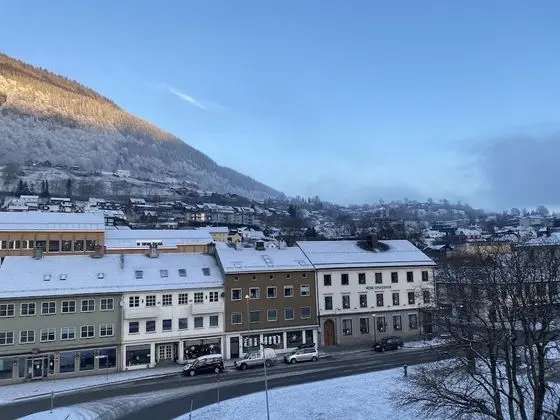 Superior İki Ayrı Yataklı Oda, Şehir Manzaralı