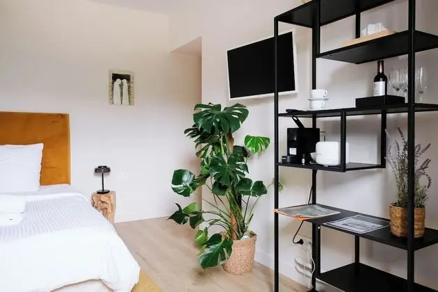 Luxury Tek Büyük Yataklı Oda