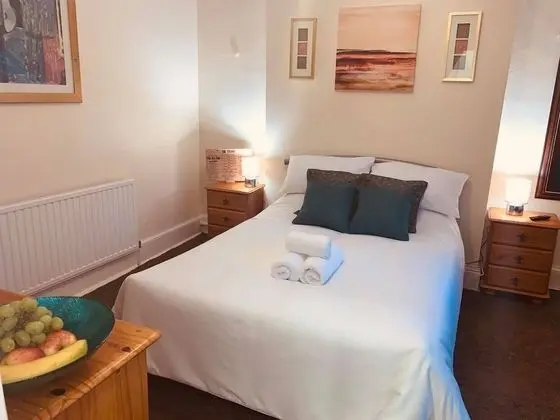 Tek Büyük Yataklı Oda, Banyolu/Duşlu (Room 3)