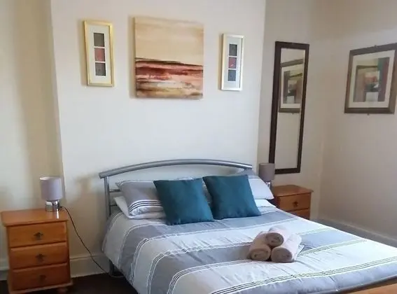 Tek Büyük Yataklı Oda, Banyolu/Duşlu (Room 3)