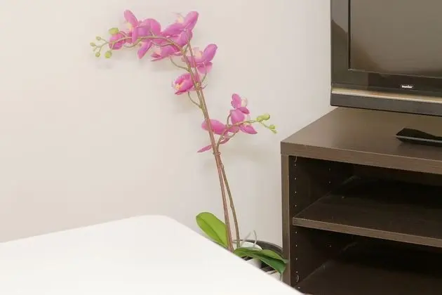 Deluxe Apart Daire, 1 Yatak Odası