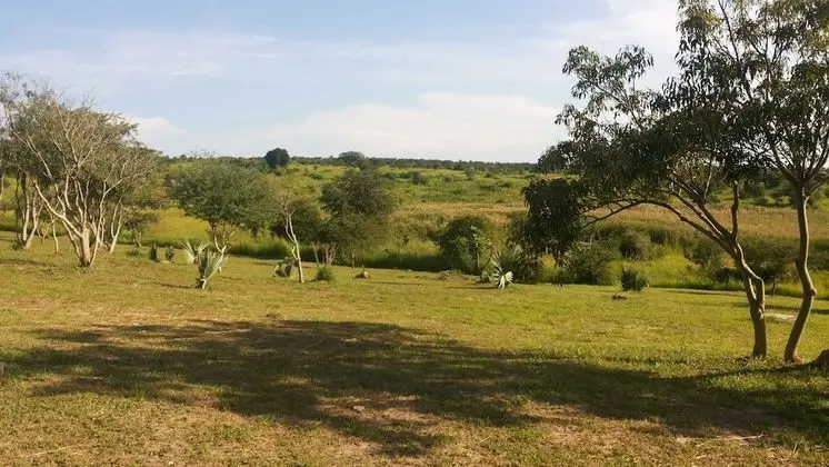 Family Kır Evi