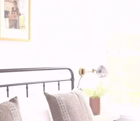 Ev