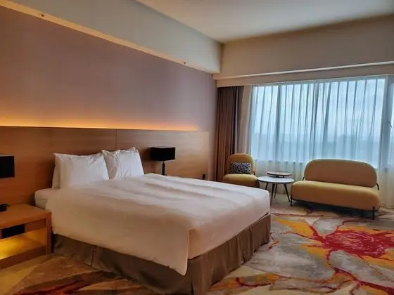 Deluxe Tek Büyük Yataklı Oda