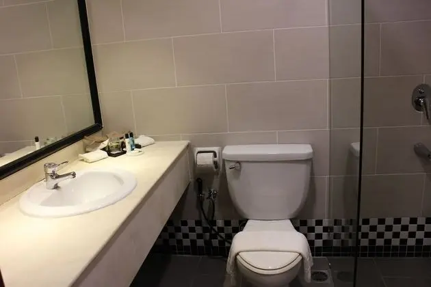 Deluxe Oda, 1 En Büyük (King) Boy Yatak