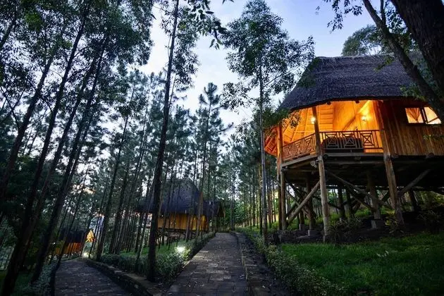 Deluxe Kır Evi, Birden Çok Yatak, Park Manzaralı