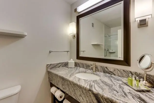 Oda, 1 En Büyük (King) Boy Yatak, Engellilere Uygun (Roll-In Shower)