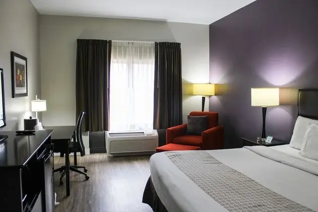 Standard Oda, 1 En Büyük (King) Boy Yatak, Engellilere Uygun