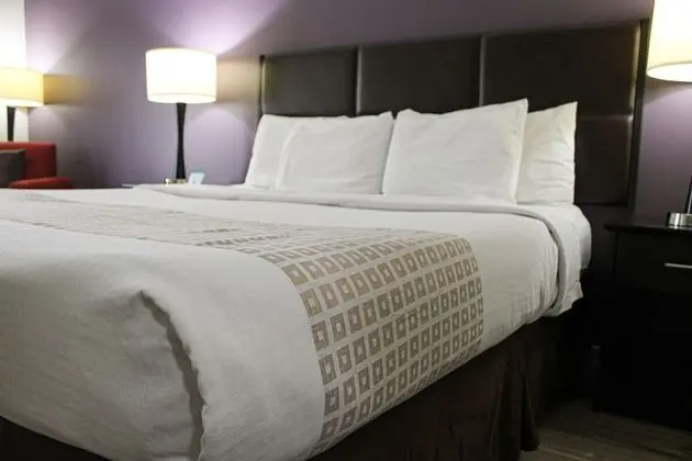 Standard Oda, 1 En Büyük (King) Boy Yatak, Engellilere Uygun