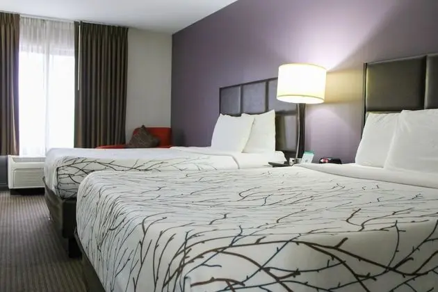 Standard Oda, 2 Büyük (Queen) Boy Yatak, Engellilere Uygun (with Chair)