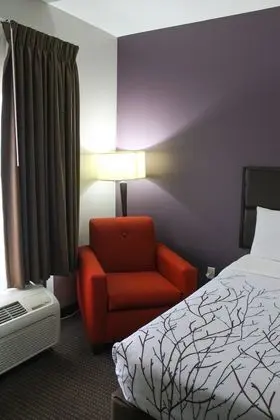 Standard Oda, 2 Büyük (Queen) Boy Yatak, Engellilere Uygun (with Chair)