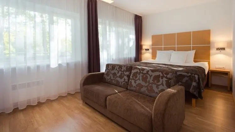 Deluxe Tek Büyük Yataklı Oda, Balkon, Park Manzaralı