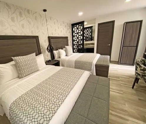 Deluxe Tek Büyük Yataklı Oda (Suite Narvarte)