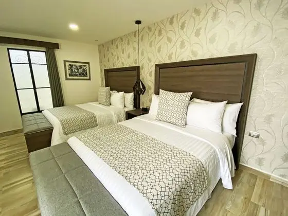 Deluxe Tek Büyük Yataklı Oda (Suite Narvarte)