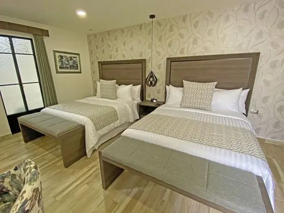 Deluxe Tek Büyük Yataklı Oda (Suite Narvarte)