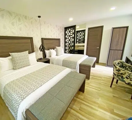 Deluxe Tek Büyük Yataklı Oda (Suite Narvarte)