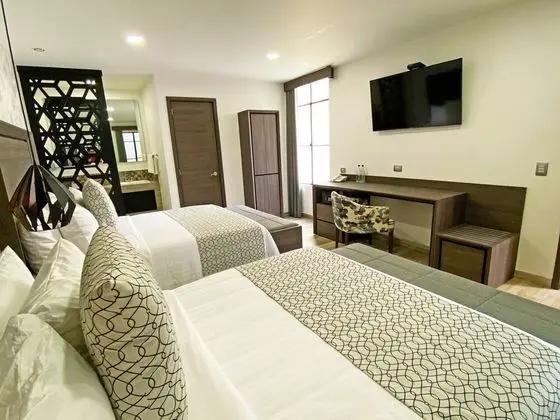 Deluxe Tek Büyük Yataklı Oda (Suite Narvarte)