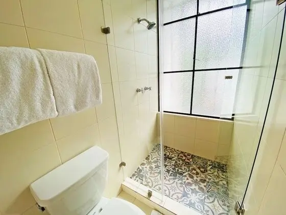 Deluxe Tek Büyük Yataklı Oda (Suite Narvarte)