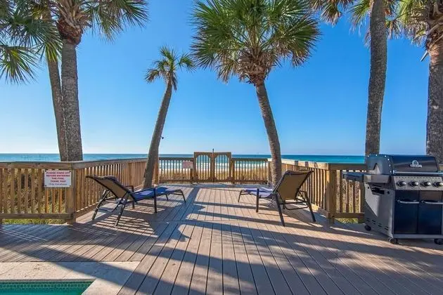 Ev (Parrotdise on the Gulf (5/4))