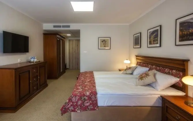 Superior Tek Büyük veya İki Ayrı Yataklı Oda