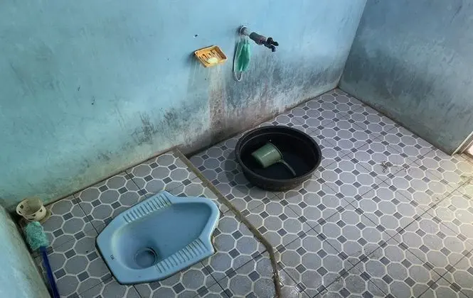 Standard Çadır