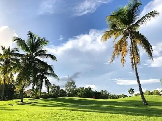 Villa, Sigara İçilebilir