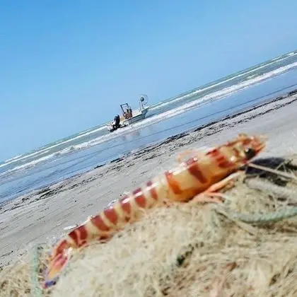 Ev, Birden Çok Yatak