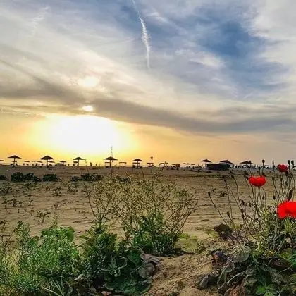 Ev, Birden Çok Yatak