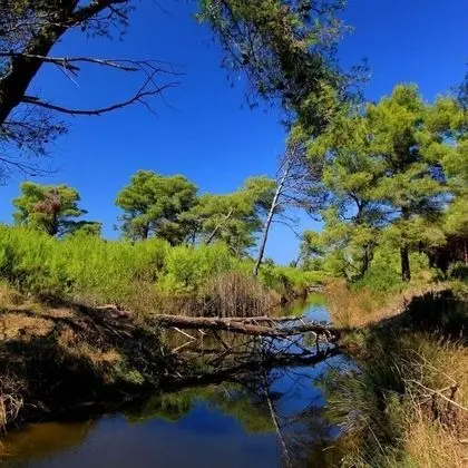 Ev, Birden Çok Yatak