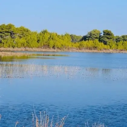Ev, Birden Çok Yatak