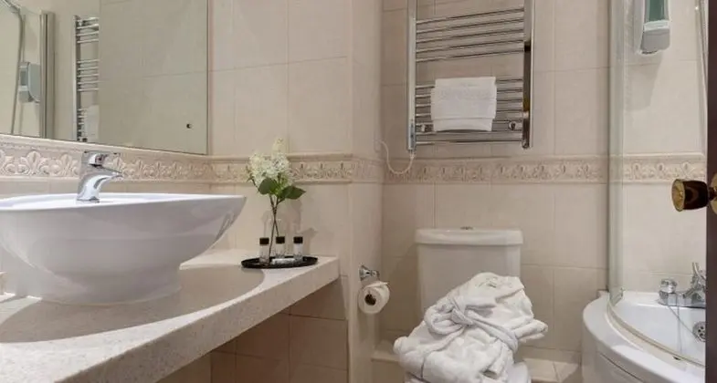 Deluxe Tek Büyük veya İki Ayrı Yataklı Oda