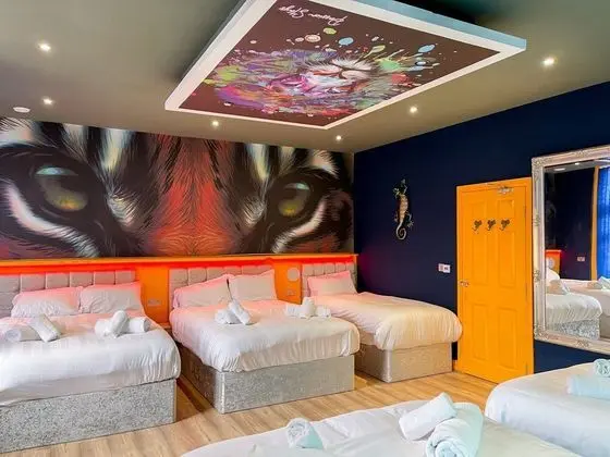 Deluxe Apart Daire, Banyolu/Duşlu, Şehir Manzaralı (Jungle Room)