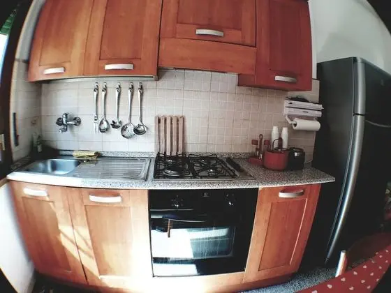 Superior Tek Büyük Yataklı Oda, Balkon, Bahçe Manzaralı