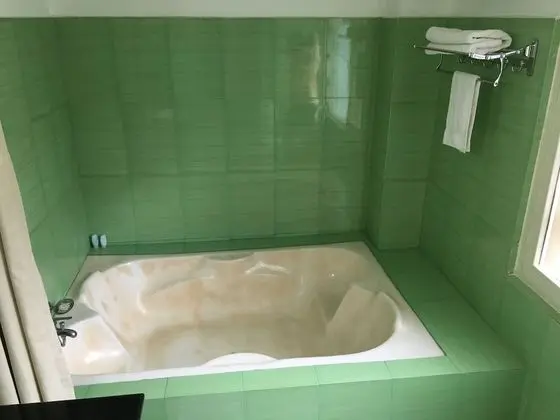 Deluxe Tek Büyük veya İki Ayrı Yataklı Oda, Bahçe Manzaralı