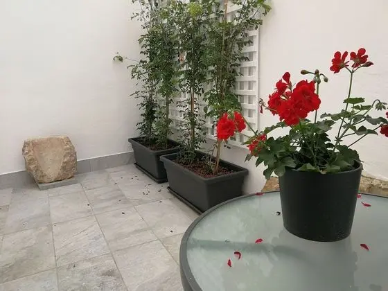 Superior Stüdyo, Engellilere Uygun