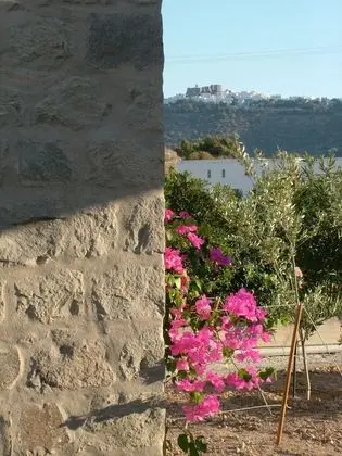 Dubleks (Petra)