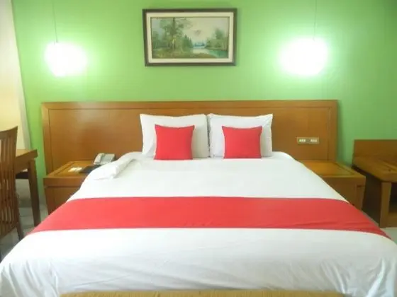 Executive Tek Büyük Yataklı Oda