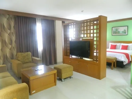 Executive Tek Büyük Yataklı Oda