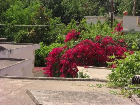 Apart Daire, 1 Yatak Odası, Balkon, Dağ Manzaralı (Katerina)