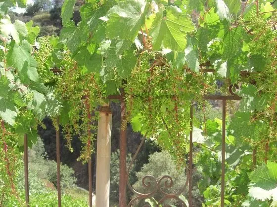 Apart Daire, 1 Yatak Odası, Balkon, Dağ Manzaralı (Katerina)