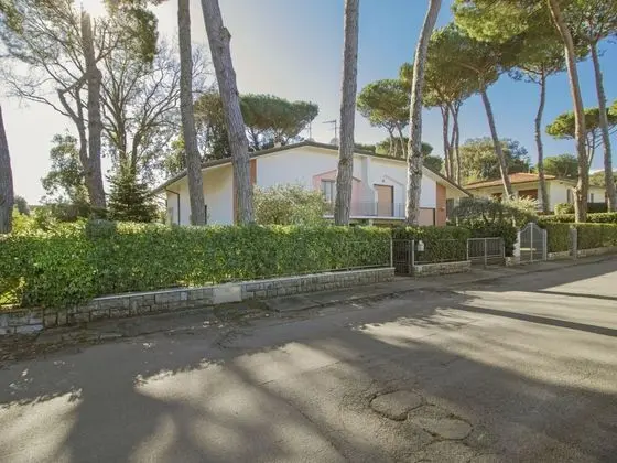 Ev