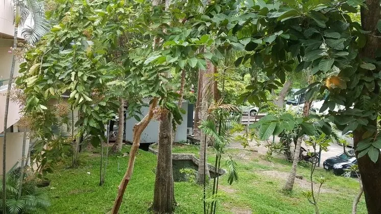 Bungalov, 2 Tek Kişilik Yatak