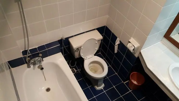 Superior İki Ayrı Yataklı Oda, 2 Tek Kişilik Yatak, Şehir Manzaralı