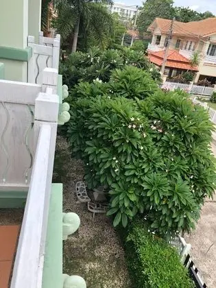 3-Bedroom Villa with Private Pool